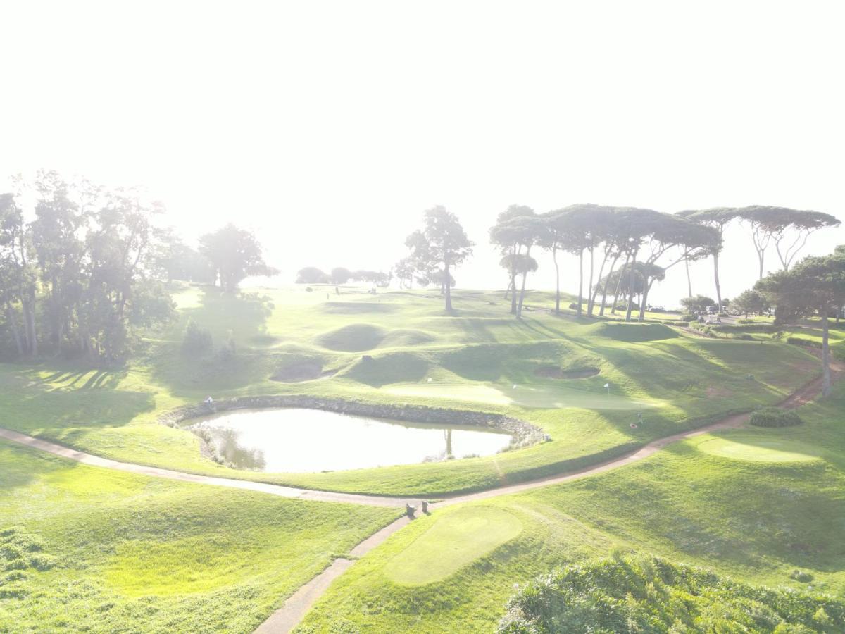 Sea And Sun 4 You - Jardins Da Imperatriz Funchal  Ngoại thất bức ảnh